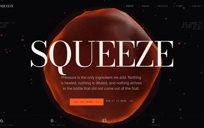 Screenshot del progetto SQUEEZE